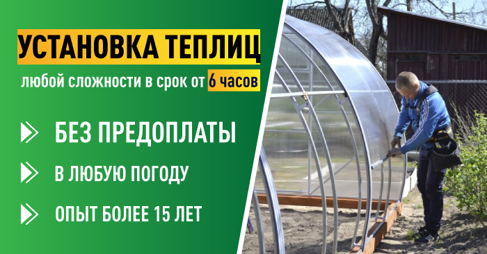 785_3.png 785_3.png